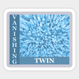 VANISHING TWIN Sticker